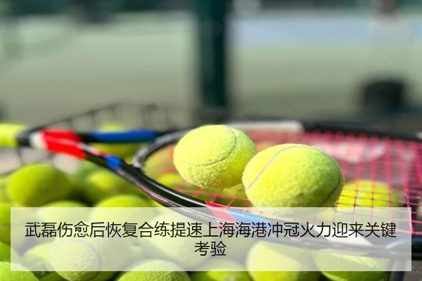 武磊伤愈后恢复合练提速上海海港冲冠火力迎来关键考验